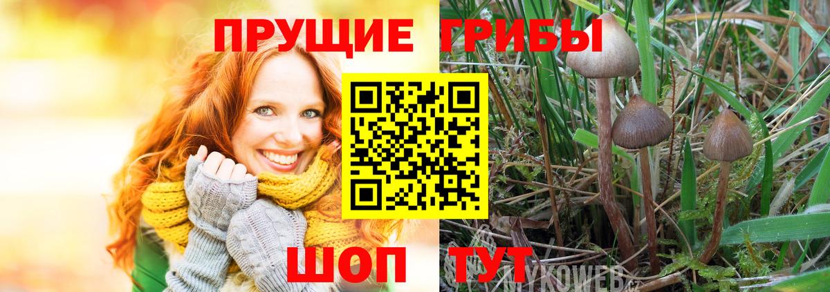 Ульяновск  Псилоцибиновые грибы прущие грибы  Галлюциногенные грибы мухоморы  Вход с VPN 