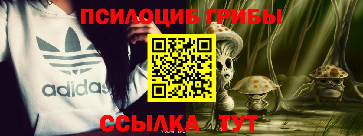 Галлюциногенные грибы Psilocybine cubensis Ульяновск